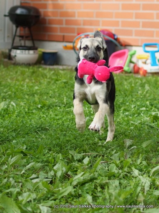 wilma-12.JPG - Kuten edell�.